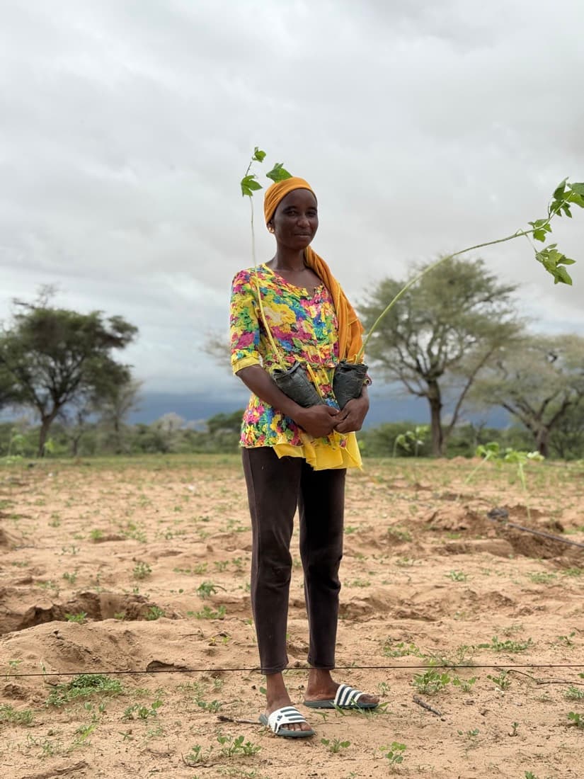 Une femme debout dans le champ tient le plant qu'elle va mettre en terre.