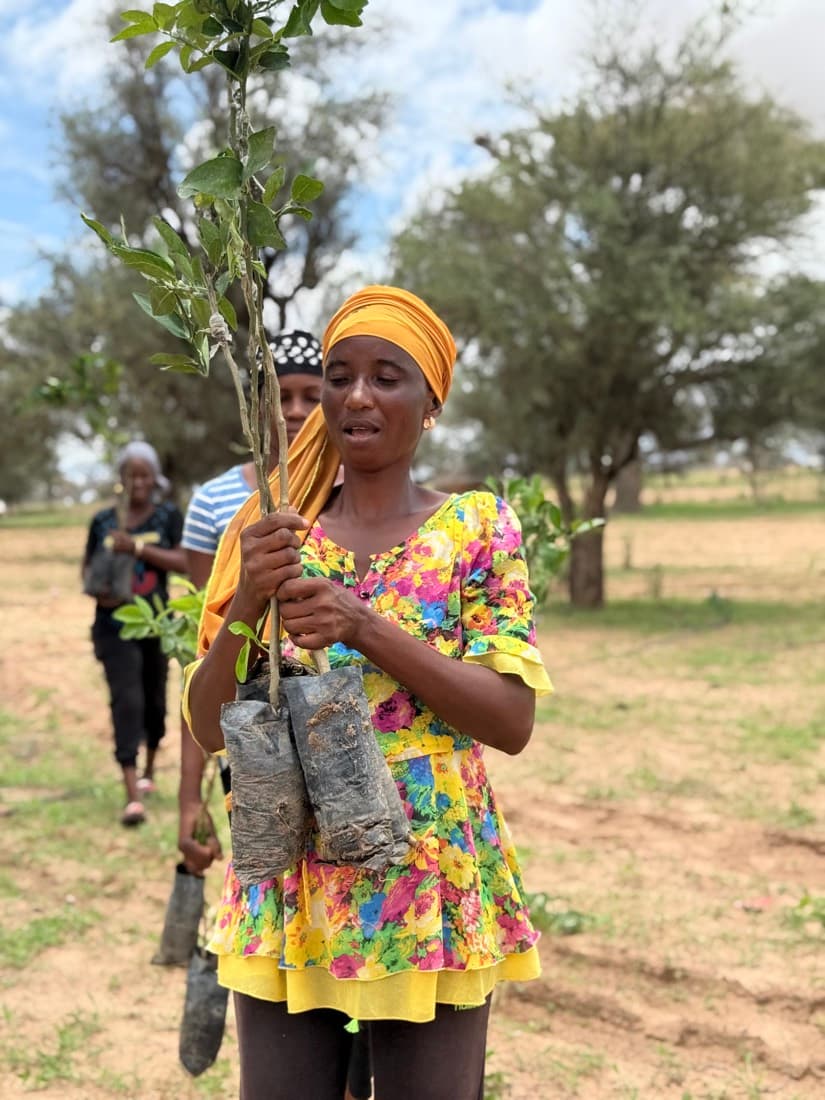 Une femme en robe fleurie porte plusieurs jeunes plants dans ses bras.