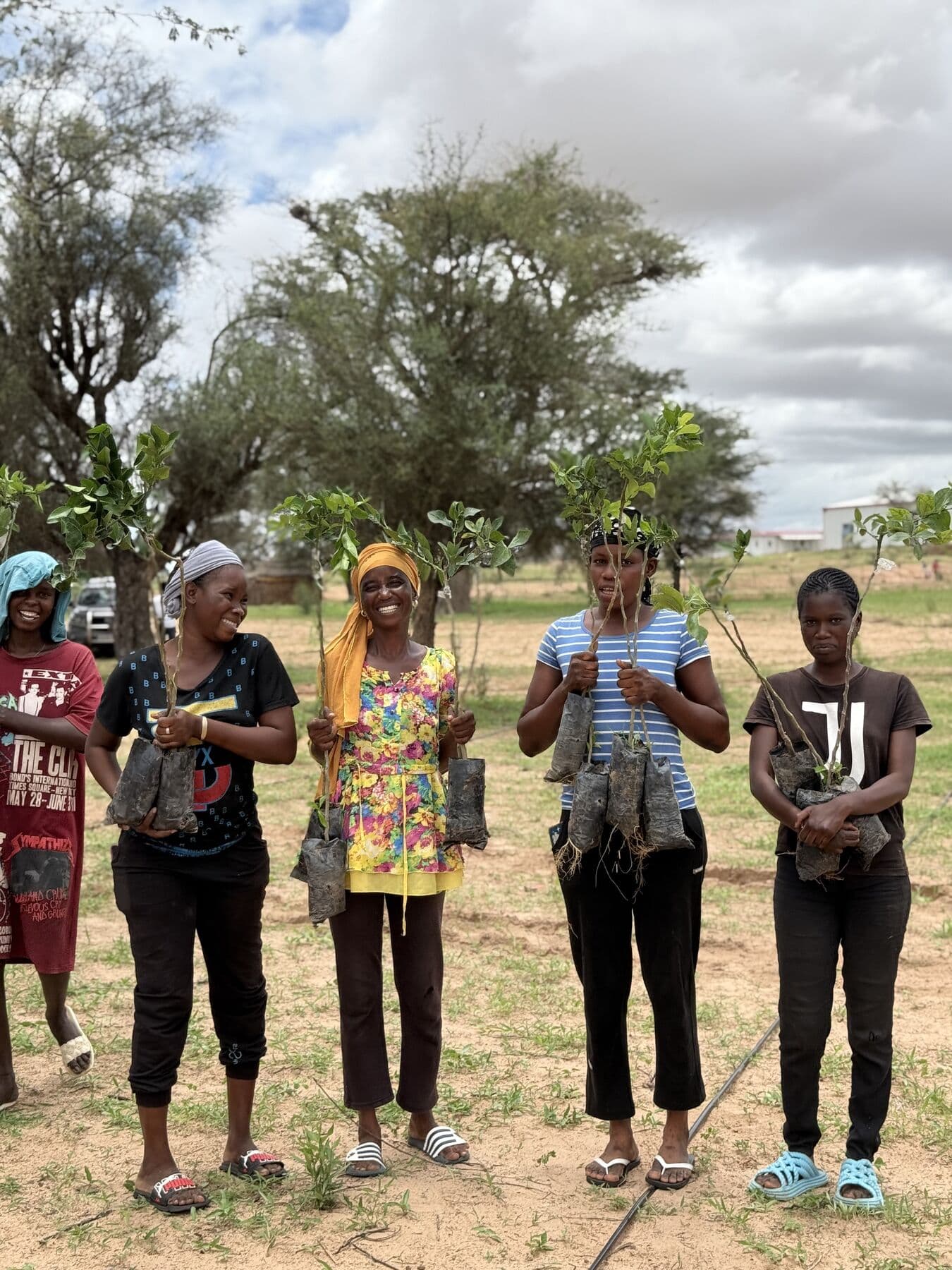 Au Sénégal, des jeunes femmes tiennent les plants d'arbres fruitiers qu'elles vont mettre en terre.